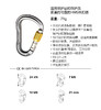 WILDCOUNTRY主锁 40-0000001001 XENON HMS 商品缩略图3