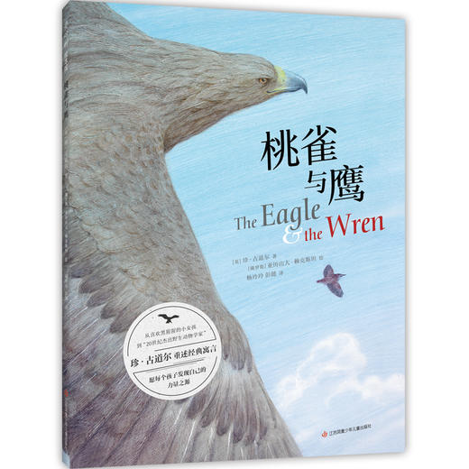 桃雀与鹰（寓言故事，自我认知，接纳个性，互助协作，选择）([英]珍·古道尔 著) 商品图0