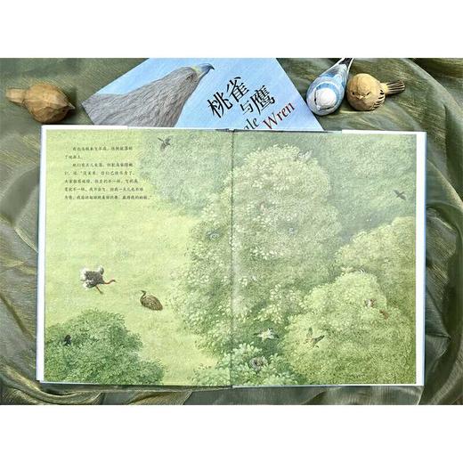 桃雀与鹰（寓言故事，自我认知，接纳个性，互助协作，选择）([英]珍·古道尔 著) 商品图4
