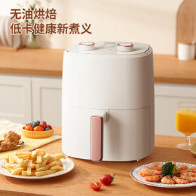 【NERF 拉尔弗电器】空气炸锅-JN-400AM07A31