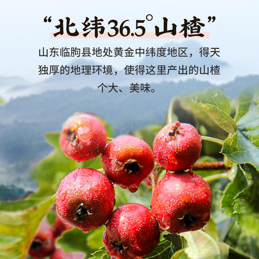 雷允上原味山楂条50g/袋 商品图5