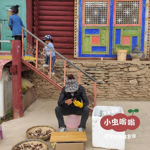 高原野生珍菌包 110g | 合作农友生产，产自四川甘孜雪山高原，生产者：李建程 &【公平贸易农人定价】 商品图11