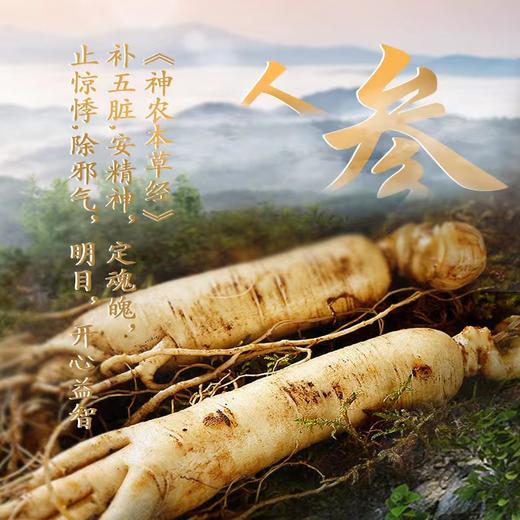 【长白山6年鲜人参】纯天然原生态 无农残 参中上品 商品图2