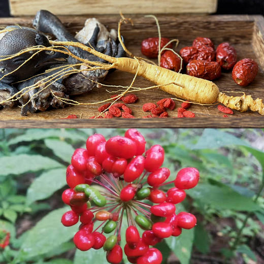 有机人参综合谷物粥（6碗/箱）/每碗有机人参添加≥1000mg 商品图7