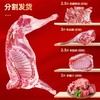 【泾川馆-艺果优品】半只羊 6-8个月羊羔肉10斤包邮 商品缩略图0