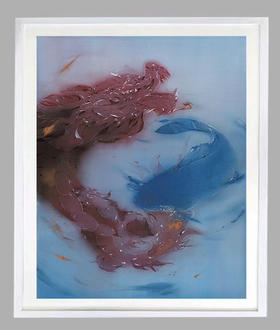 游雯迪《龙鲤太极》49版