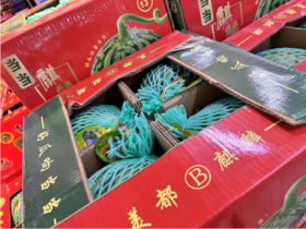 4粒海南麒麟西瓜一箱
