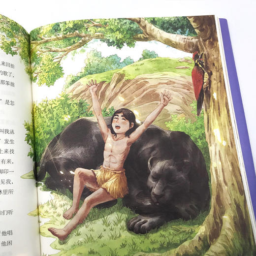 丛林历险记 美绘典藏版 商品图4