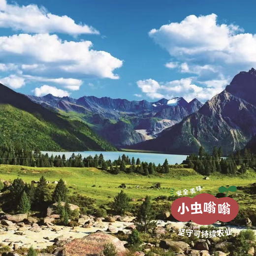 高原野生珍菌包 110g | 合作农友生产，产自四川甘孜雪山高原，生产者：李建程 &【公平贸易农人定价】 商品图7