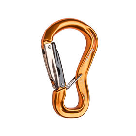 GRIVEL主锁 RSK10GS Rock safety carabiner K10G CLEPSYDRA S TWIN GATE
