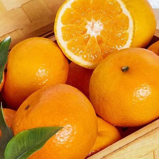 甘平柑4粒 约1kg/份 商品图3
