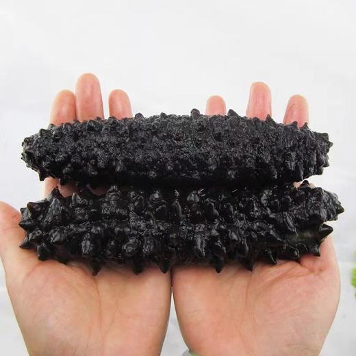 【干货】100%纯野生新西兰澳洲小黑参海参花胶鱼胶无激素无防腐剂无漂白 墨姐澳洲代购 商品图0