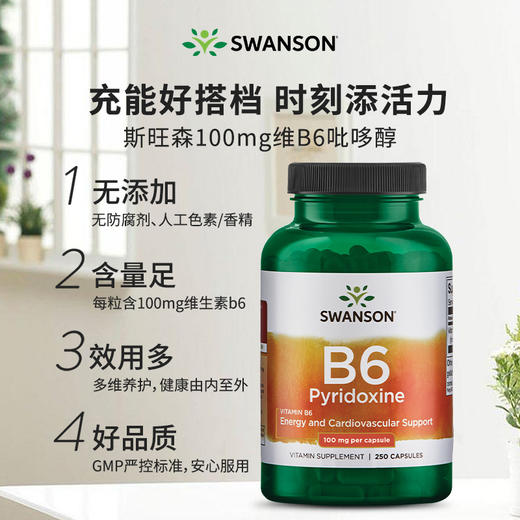 【海免】美国进口swanson斯旺森维生素B6胶囊脱发掉发白头发维生素B250粒 商品图1