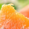 甘平柑4粒 约1kg/份 商品缩略图1