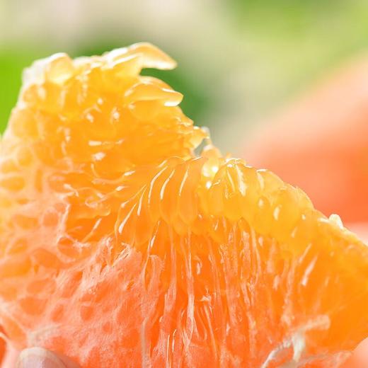 甘平柑4粒 约1kg/份 商品图1