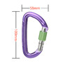 WILDCOUNTRY主锁 40-0000001000 SESSION SCREW GATE 商品缩略图0