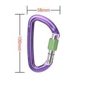 WILDCOUNTRY主锁 40-0000001000 SESSION SCREW GATE