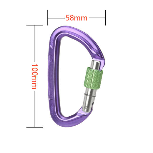 WILDCOUNTRY主锁 40-0000001000 SESSION SCREW GATE 商品图0