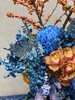 蓝福禄 商品缩略图2