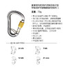 WILDCOUNTRY主锁 40-0000001002 XENON HMS BELAY 商品缩略图2