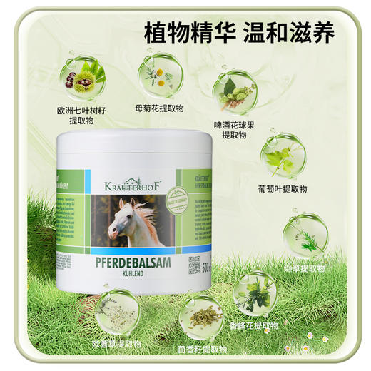 【清凉型绿马膏】Krauterhof 德国原装进口舒缓按摩膏 商品图1