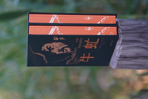 《牛虻》刷边版 商品图2