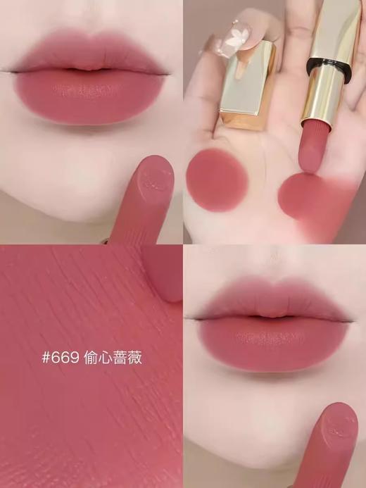 美国 Estee Lauder/雅诗兰黛小金管口红3.5g  #626/#666/#669/#699 版本随机发 商品图2