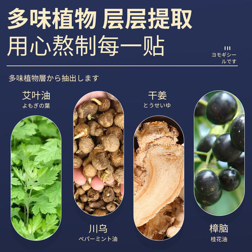 香港仲景国医研究院 艾草贴！ 肩颈+腱鞘+腰椎+膝盖 商品图8