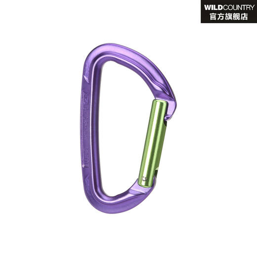 WILDCOUNTRY主锁 40-0000000005 SESSION STRAIGHT GATE 商品图0