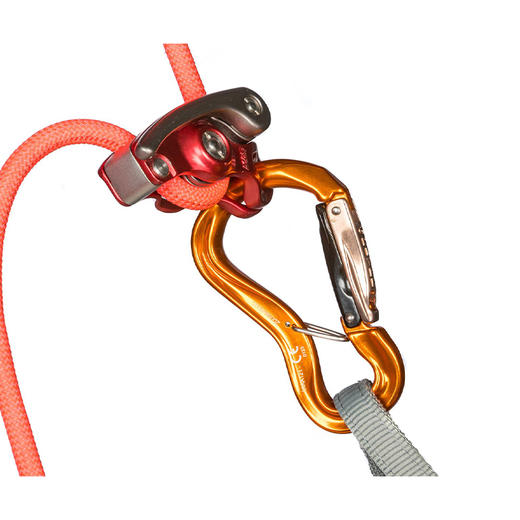 GRIVEL主锁 RSK10GS Rock safety carabiner K10G CLEPSYDRA S TWIN GATE 商品图1