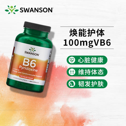 【海免】美国进口swanson斯旺森维生素B6胶囊脱发掉发白头发维生素B250粒 商品图0