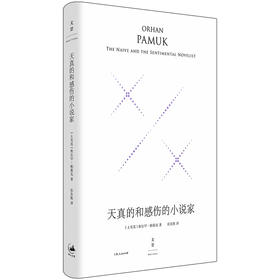 天真的和感伤的小说家 精装珍藏版