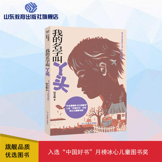 我的名字叫丫头 商品图0