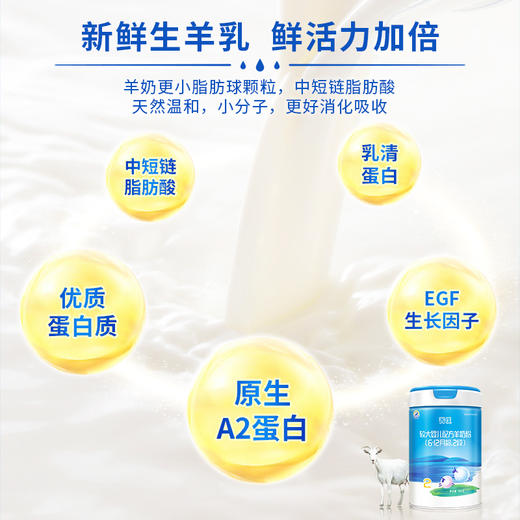 百跃菁优无乳糖羊乳粉较大婴儿800克2段 商品图6