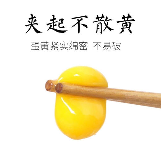 农家散养土鸡蛋绿壳/黄壳混搭一斤15元/5斤礼盒装 商品图7