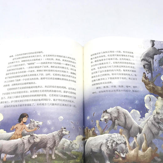 丛林历险记 美绘典藏版 商品图3