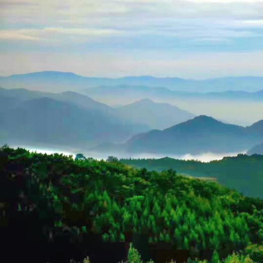 有机人参综合谷物粥（6碗/箱）/每碗有机人参添加≥1000mg 商品图6