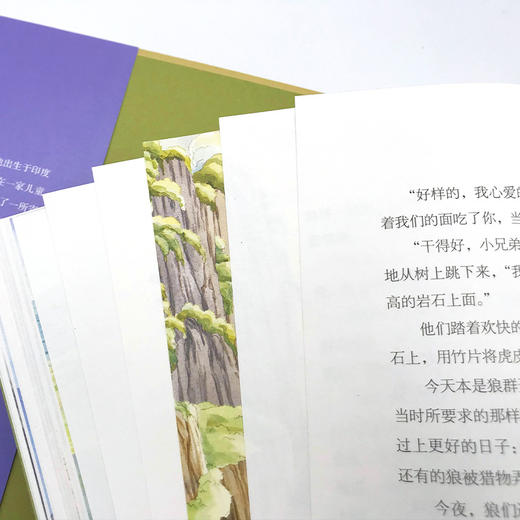 丛林历险记 美绘典藏版 商品图2