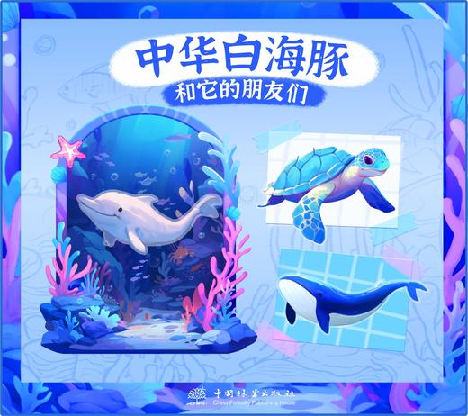 白海豚的神秘来信（全三册）+“中华白海豚和它的朋友们”组合冰箱贴（套装） 9787521923612 商品图5
