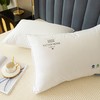热卖中！！英国欧特家OETKER七星酒店枕，云端般睡感，超柔回弹 商品缩略图6
