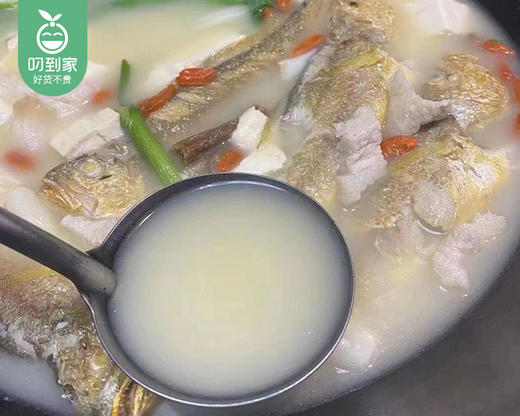 【叼鲜】宁德冰鲜野化黄花鱼（杀好三去）/1条（400-450g） 商品图2