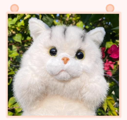 英短磁吸猫背包35CM 商品图1
