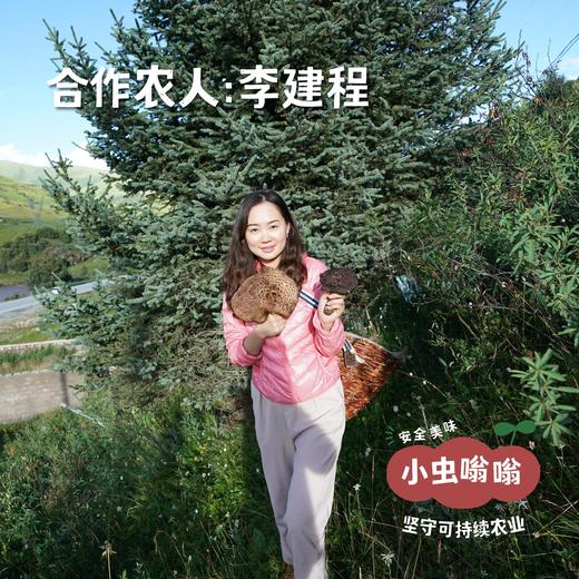 高原野生珍菌包 110g | 合作农友生产，产自四川甘孜雪山高原，生产者：李建程 &【公平贸易农人定价】 商品图6