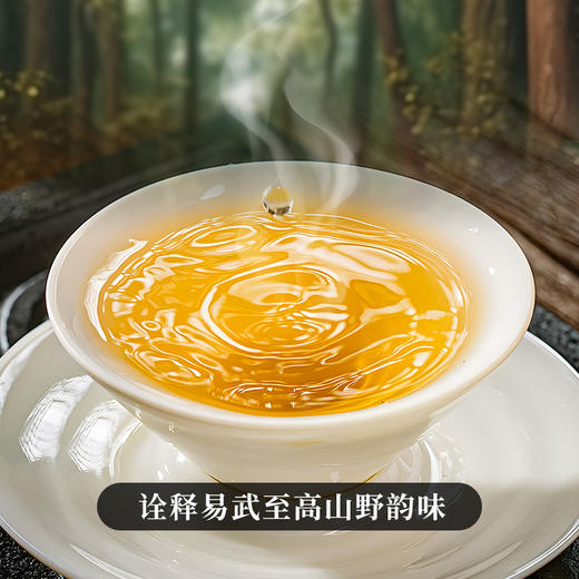 【蕞后库存】【凤凰金沱】2019年易武古六山拼配普洱茶生茶 100g*15沱/筐 拍5发6  拍20发25 祝茶友吉祥如意 好运连连 商品图7