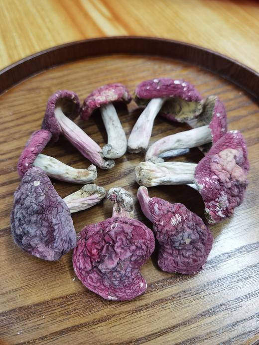 云南产地直销5A顶级红菇干货野生菌原价¥733会员价¥625 商品图0