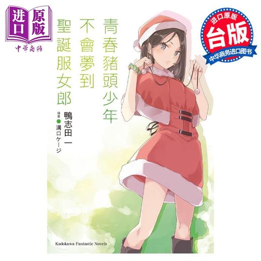 预售 【中商原版】轻小说 青春猪头少年不会梦到圣诞服女郎 青春猪头少年系列 13 鸭志田一 台版轻小说 角川出版 商品图0