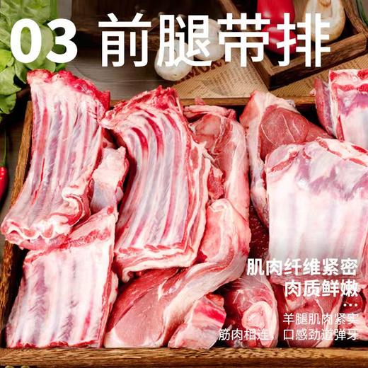 【泾川馆-艺果优品】半只羊 6-8个月羊羔肉10斤包邮 商品图3