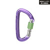 WILDCOUNTRY主锁 40-0000001000 SESSION SCREW GATE 商品缩略图1