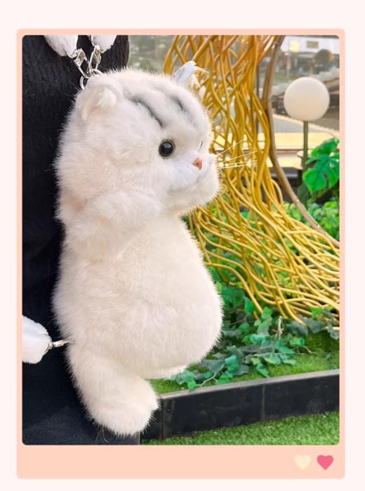 英短磁吸猫背包35CM 商品图2