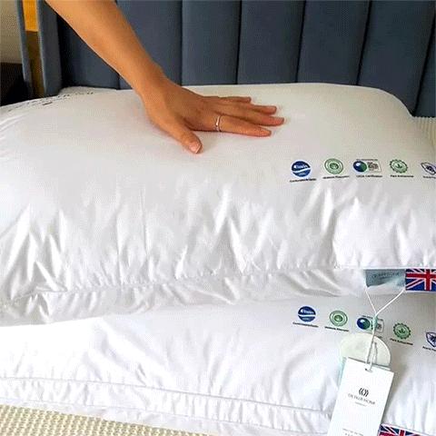 热卖中！！英国欧特家OETKER七星酒店枕，云端般睡感，超柔回弹 商品图0